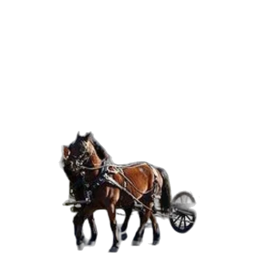 animal, staff, crown, jewelry transparent PNG cut-out