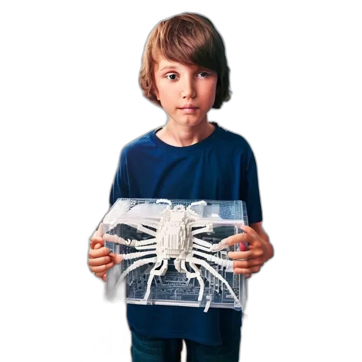 creature, animal, hair, mask transparent PNG cut-out