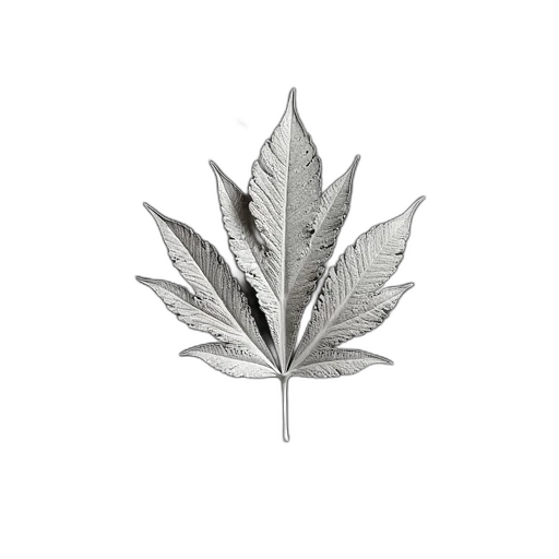 crown, tree, flower, jewelry transparent PNG cut-out