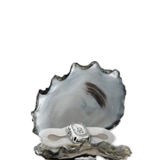 jewelry, crown, hair, face transparent PNG cut-out