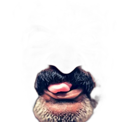 animal, mask, face, creature transparent PNG cut-out