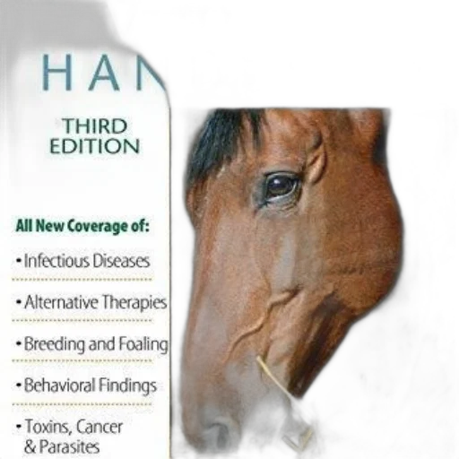 hat, hair, cover, veterinary transparent PNG cut-out