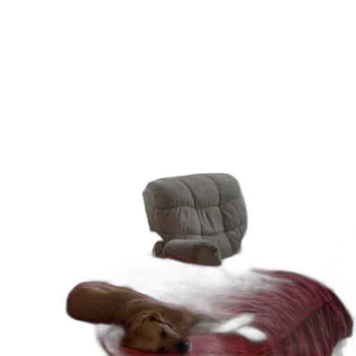 furniture, hat, animal, hair transparent PNG cut-out