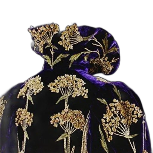 jacket, crown, dress, jewelry transparent PNG cut-out