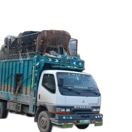 animal, truck, cow, top transparent PNG cut-out