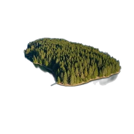 tree, hat, crown, creature transparent PNG cut-out