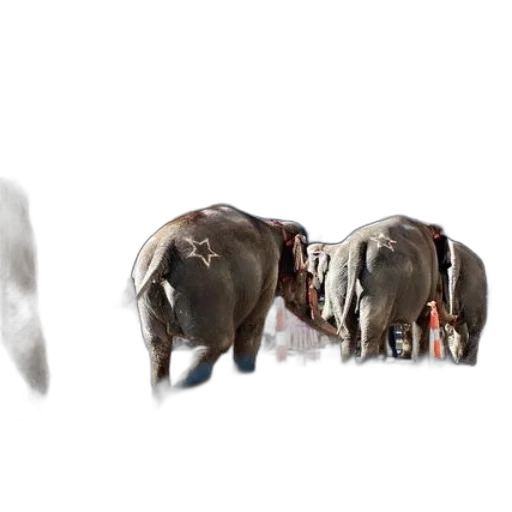 animal, creature, jewelry, 3d render transparent PNG cut-out