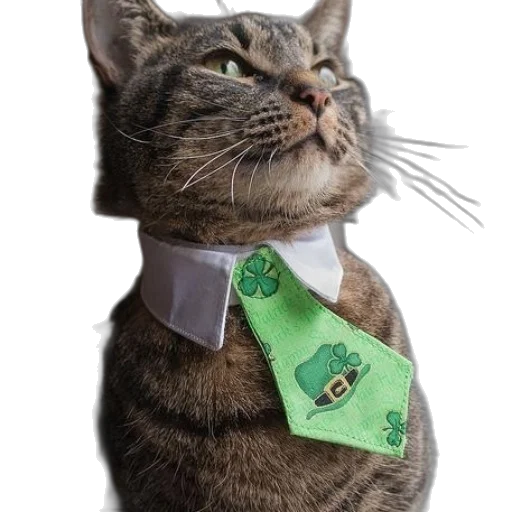 staff, jewelry, animal, photorealistic transparent PNG cut-out