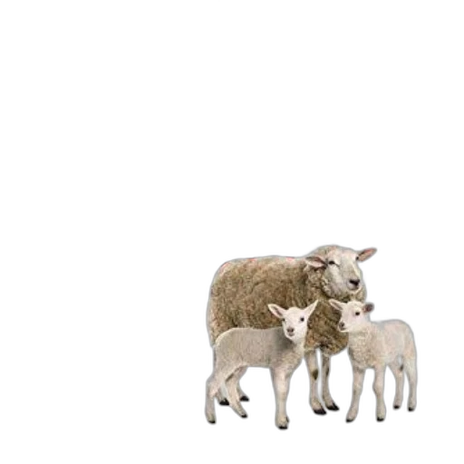 animal, food, weapon, pixel art transparent PNG cut-out