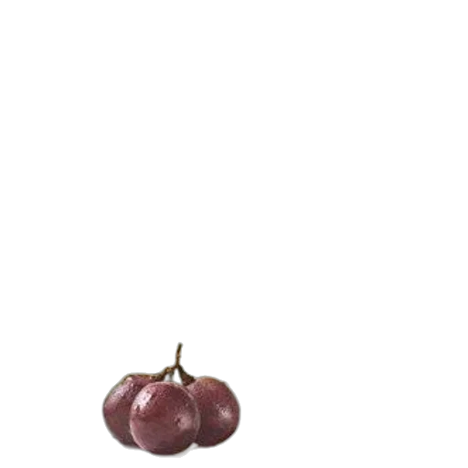 food, jewelry, animal, crown transparent PNG cut-out