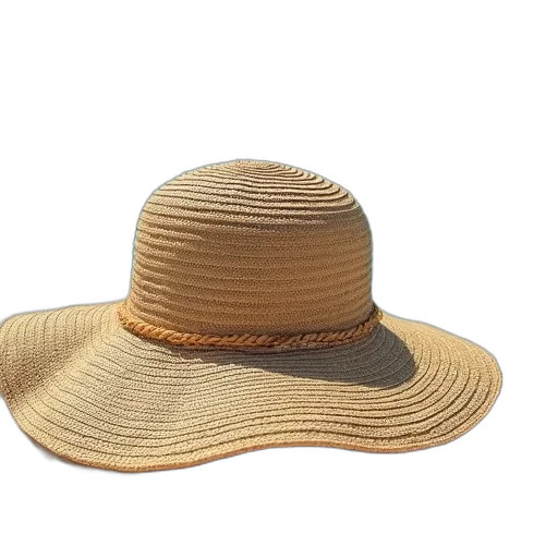 hat, crown, words, one transparent PNG cut-out