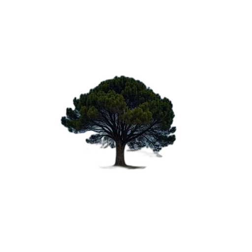 tree, crown, hair, hat transparent PNG cut-out