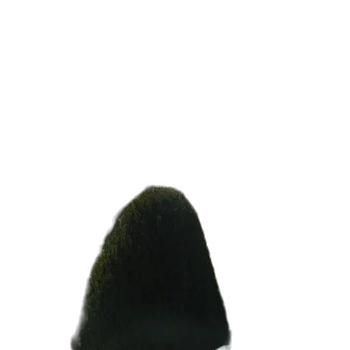 hat, staff, crown, hair transparent PNG cut-out