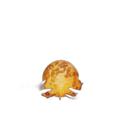 food, animal, creature, hat transparent PNG cut-out