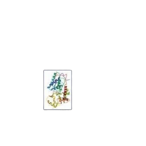dragon, flower, jewelry, staff transparent PNG cut-out