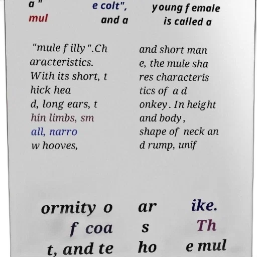 text-based, image, explaining, characteristics transparent PNG cut-out