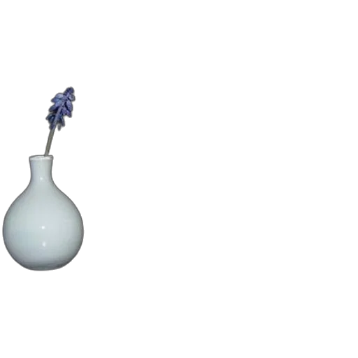 bottle, flower, jewelry, umbrella transparent PNG cut-out