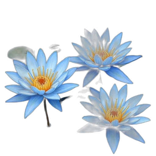 flower, jewelry, crown, 3d render transparent PNG cut-out