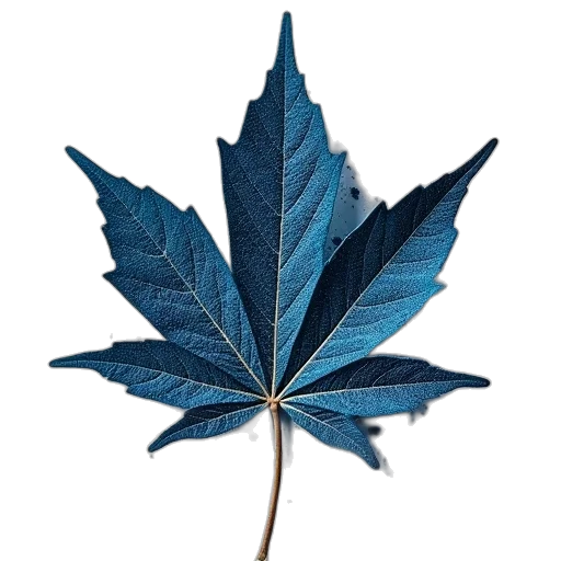 tree, crown, flower, blue transparent PNG cut-out