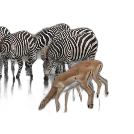 animal, creature, 3d render, concept art transparent PNG cut-out