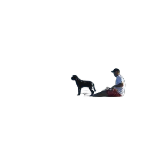 animal, staff, creature, umbrella transparent PNG cut-out