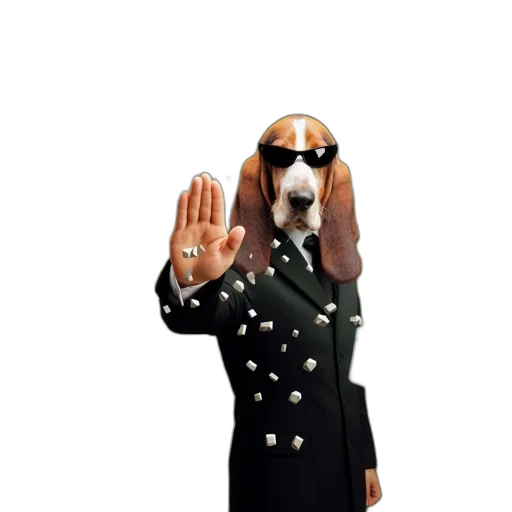 animal, staff, jacket, dress transparent PNG cut-out