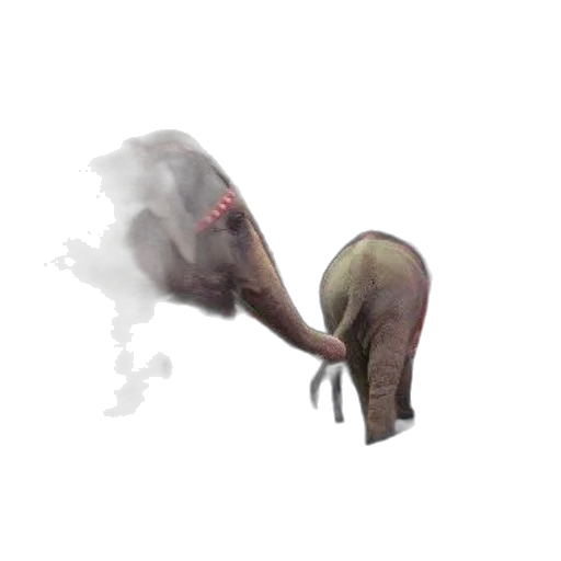 creature, animal, dragon, staff transparent PNG cut-out