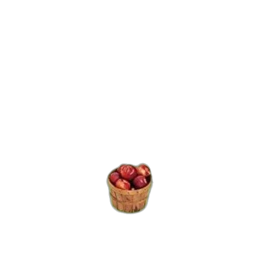 food, crown, flower, hat transparent PNG cut-out