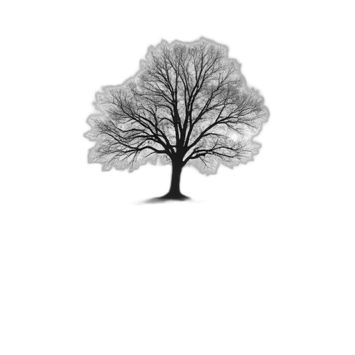 tree, crown, hat, hair transparent PNG cut-out
