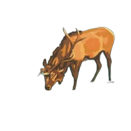 animal, creature, dragon, staff transparent PNG cut-out