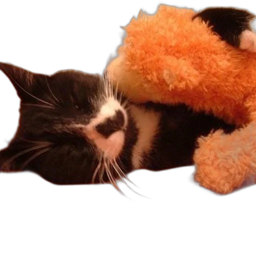 animal, staff, creature, weapon transparent PNG cut-out