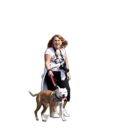 animal, creature, staff, pixel art transparent PNG cut-out