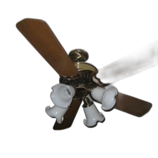umbrella, staff, weapon, furniture transparent PNG cut-out