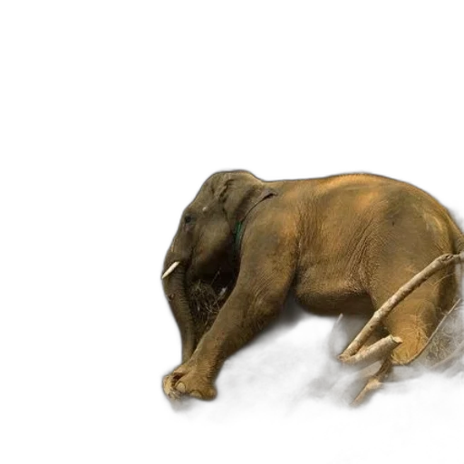 animal, creature, staff, concept art transparent PNG cut-out
