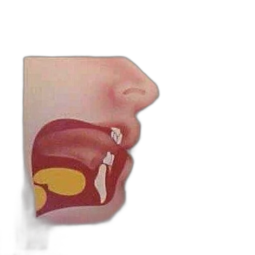 face, mask, food, jewelry transparent PNG cut-out