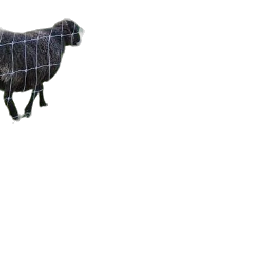 animal, dress, creature, robot transparent PNG cut-out