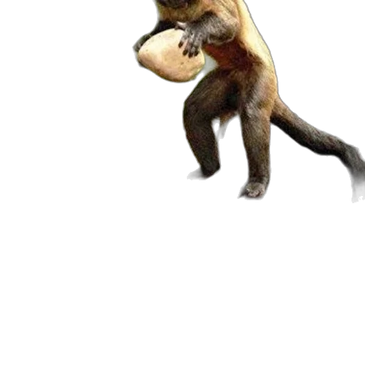 animal, creature, dragon, staff transparent PNG cut-out
