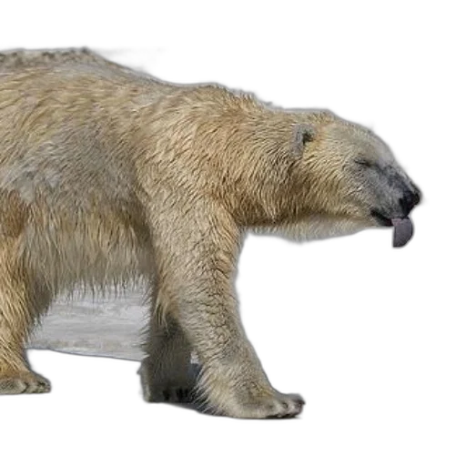 animal, creature, 3d render, concept art transparent PNG cut-out