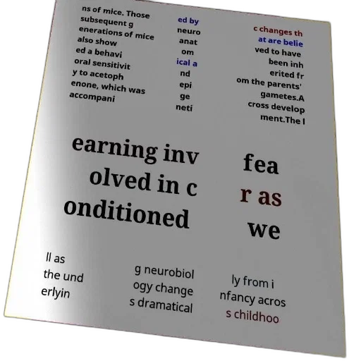 poster, text, about, learning transparent PNG cut-out