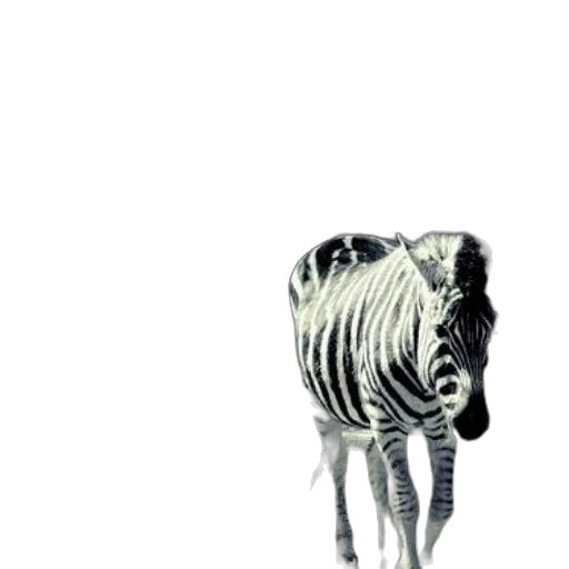 animal, creature, jewelry, robot transparent PNG cut-out