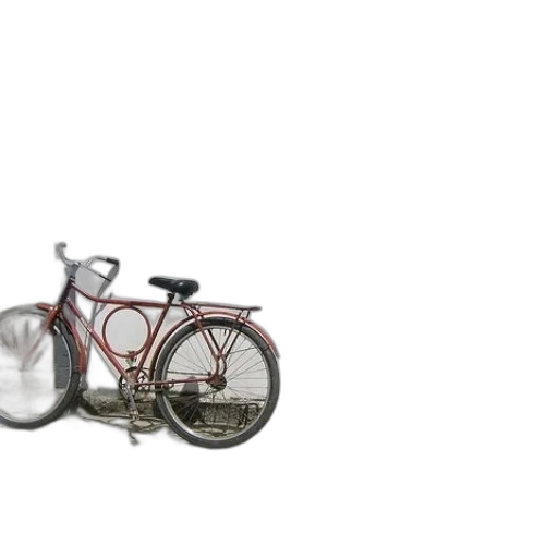 car, weapon, animal, bottle transparent PNG cut-out