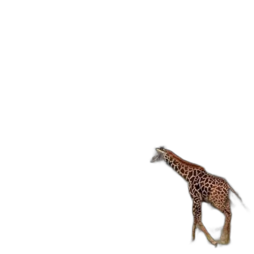 animal, creature, staff, weapon transparent PNG cut-out