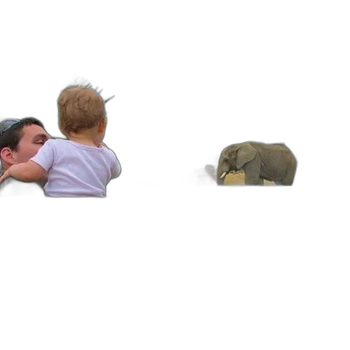 animal, creature, mask, face transparent PNG cut-out