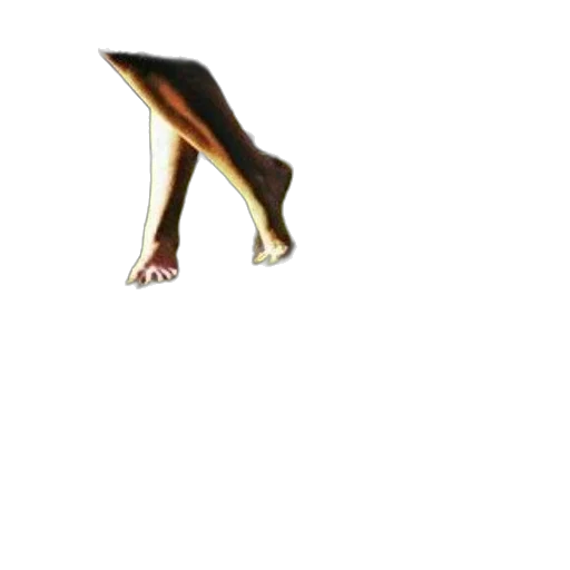 shoes, animal, dress, creature transparent PNG cut-out