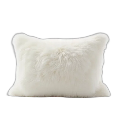 furniture, hair, crown, white transparent PNG cut-out