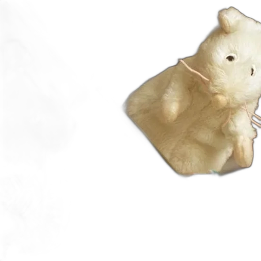 animal, creature, food, mask transparent PNG cut-out