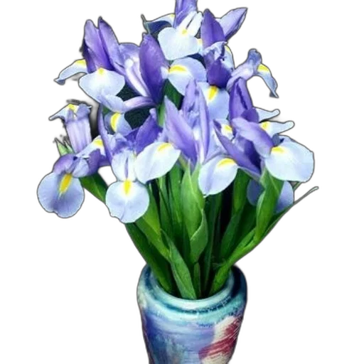 flower, crown, bottle, staff transparent PNG cut-out