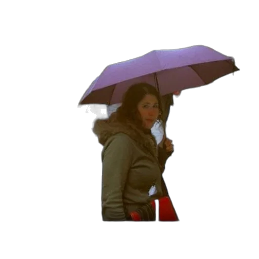 umbrella, jacket, hat, staff transparent PNG cut-out