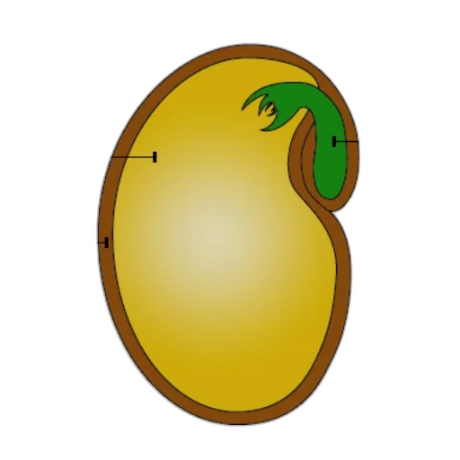 hat, crown, food, face transparent PNG cut-out