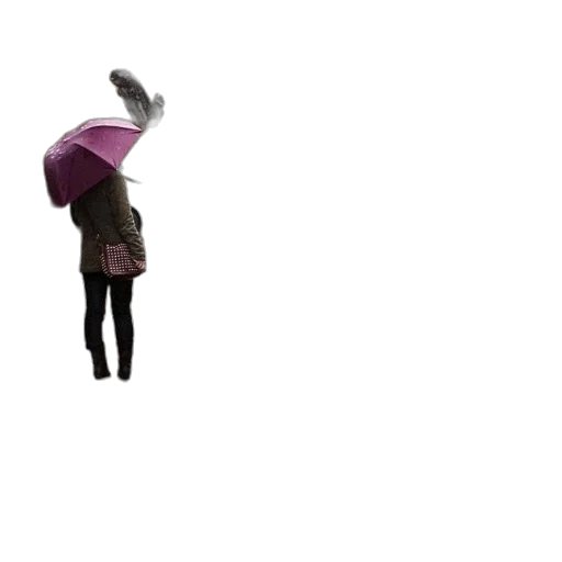 umbrella, jacket, staff, hat transparent PNG cut-out
